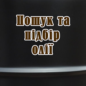 Підбір оливи